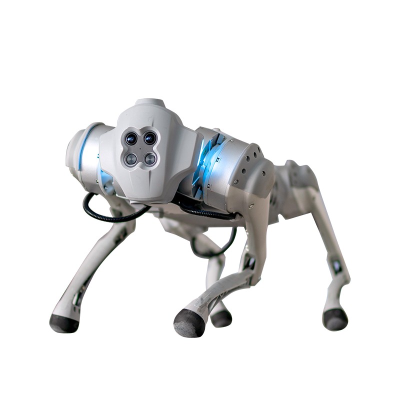 机器狗